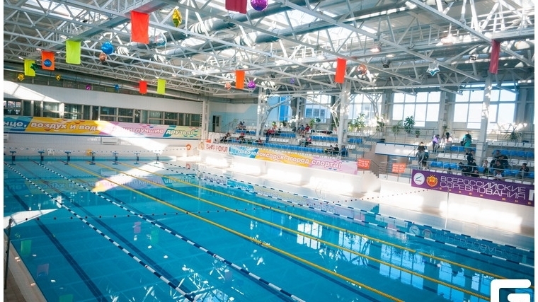 Сегодня стартуют чемпионат и первенство Чувашской Республики по плаванию